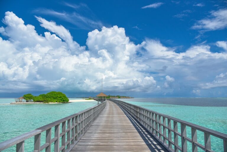 Exploring Hidden Gems Around the World with Wander Travel Vista